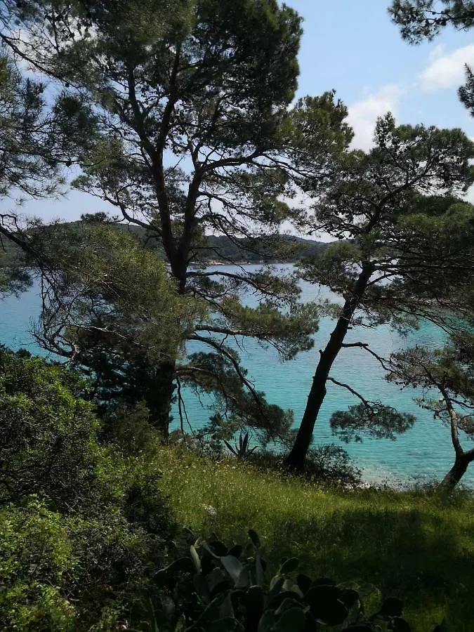 Apartman Merula Appartement Mali Lošinj Kroatië